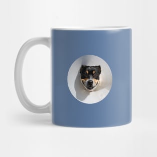 Smiling dog Mug